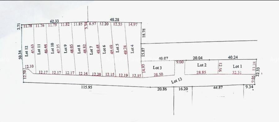 Teren Intravilan Sat Pietroiu - 7