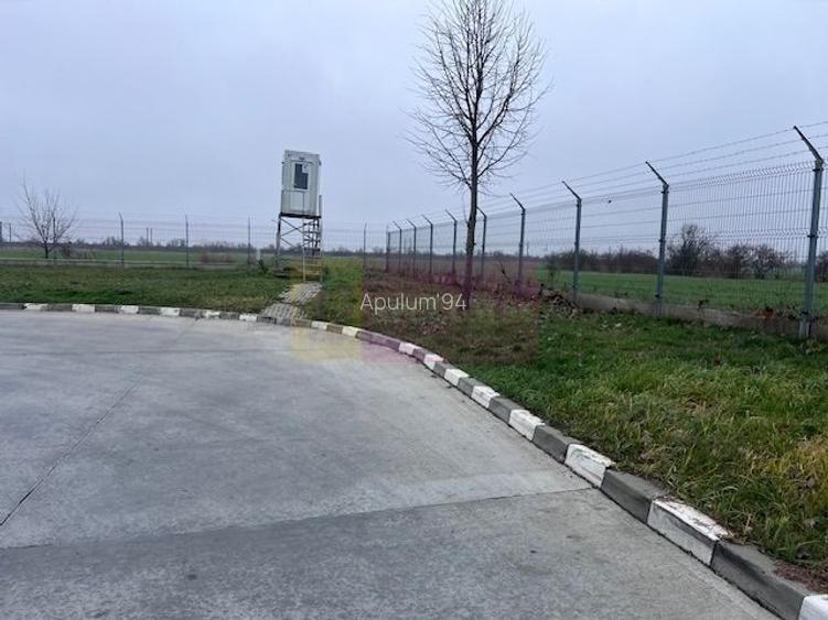 Teren Domnesti- Depozit Altex, Emag. - 4