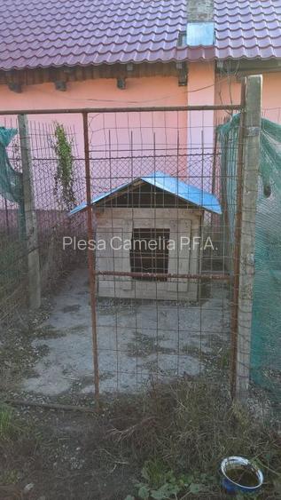 BUTIMANU - DN1A, CASA + TEREN 5000MP, DESCHIDERE 28 MP, - 5