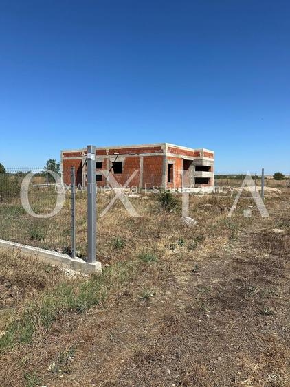 OX662 Casa pe un singur nivel, in Pischia - 6