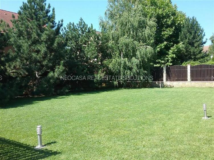 IANCU NICOLAE, S+P+1, 6 CAMERE, 410 MP, PISCINA, CURTE SUPERBA! - 4