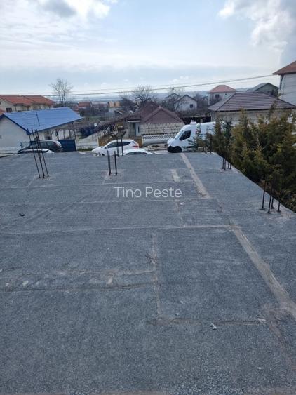 Spațiu comercial+locuință (neconstruit)–potrivit pentru afacere și locuit LUMINA - 9