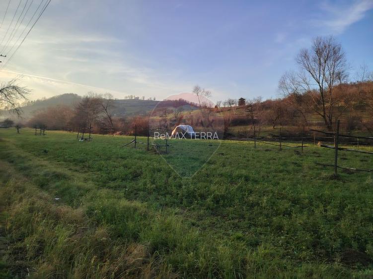 COMISION 0%  Teren intravilan de vanzare in Barsana (26 ARI) - 2