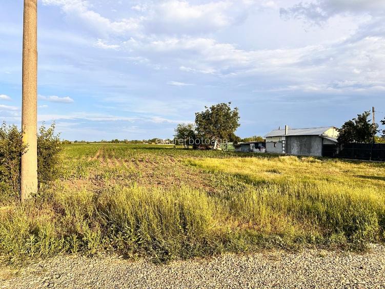 Vânzare teren intravilan 9100 mp – Str. Găterului, Orașul Răcari, Dâmbovița - 5