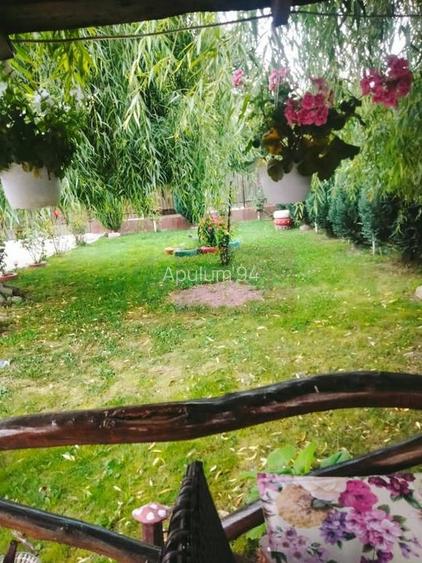 Casa Prahova Comuna Buchilas | 2.800 MP TEREN | Zona Verde | Padure - 4