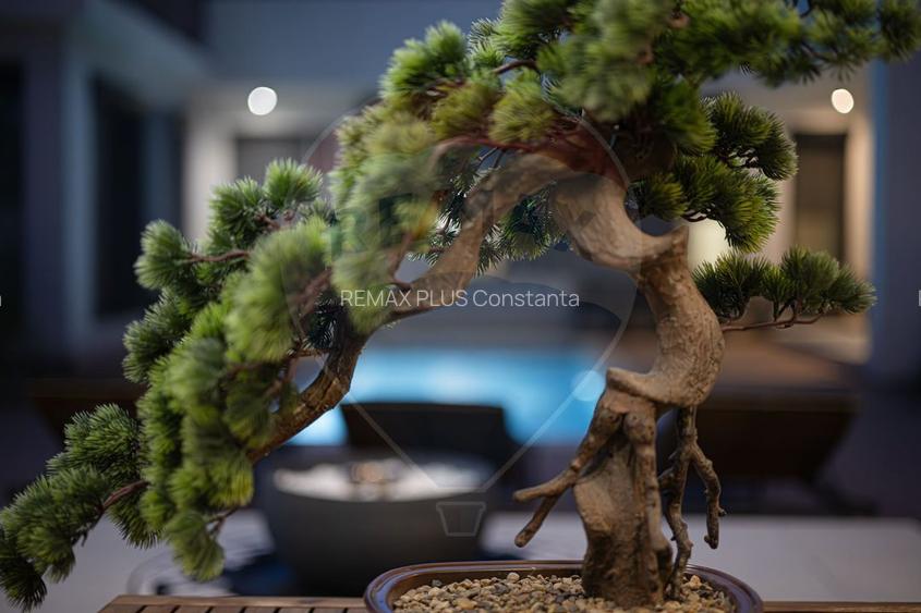 Vila P+M  si teren 1700 mp de vanzare in Lumina  jud. Constanta - 26