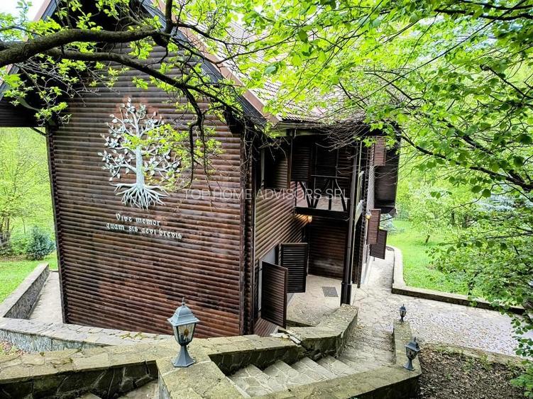 Casa de vacanta deosebita Breaza- Nistoresti - 40