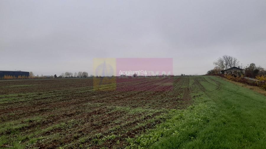 Teren Investiție aproape de București - 3