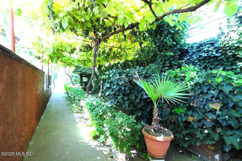 Palazu Mare - Strada Gheorghe Baritiu 16, casa cu teren de 680 mp! - 38