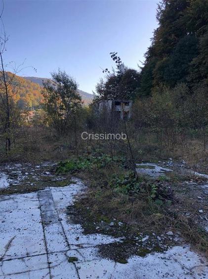 De vanzare teren intravilan AZUGA - 16