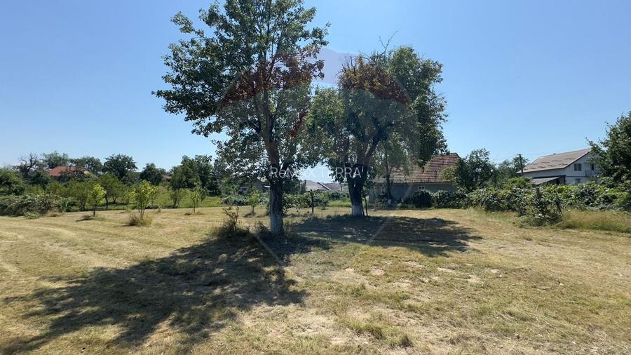 Casa cu teren De Vanzare in Ariesul de Padure - 6