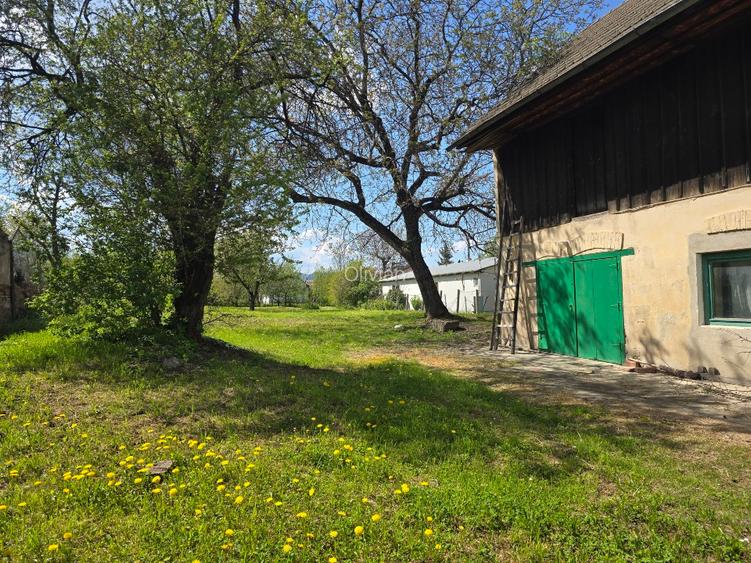 Vand casa veche de renovat cu teren 1775mp in Baciu - 6