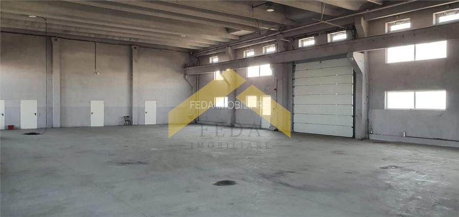 De vanzare doua hale pe un teren imprejmuit 9000 mp zona Gai - 11