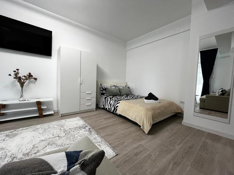 Apartament de inchiriat, o camera, Open space, 35 mp, Lunca Cetatuii - 3