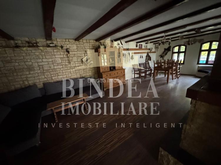 Oportunitate investitie: două reședințe de vacanță/ cabane 3940mp teren - 3