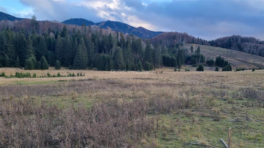 Teren intravilan zona Silver Mountain , Poiana Brasov - 6