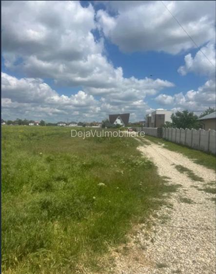 Teren Magurele 2403 mp Str Stejarului New 2025 - 5