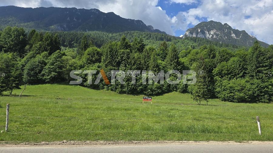 Teren intravilan Zarnesti Plaiul Foii - 10