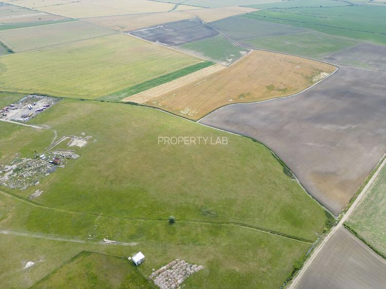 Teren intravilan de 29,970mp Sacalaz - 21