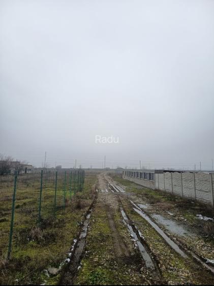 Teren intravilan Simian zona avicola - 5