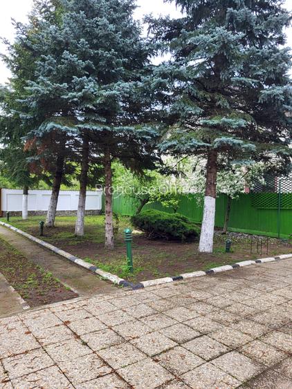 Refugiul tău verde, aproape de oraș la Snagov - 14