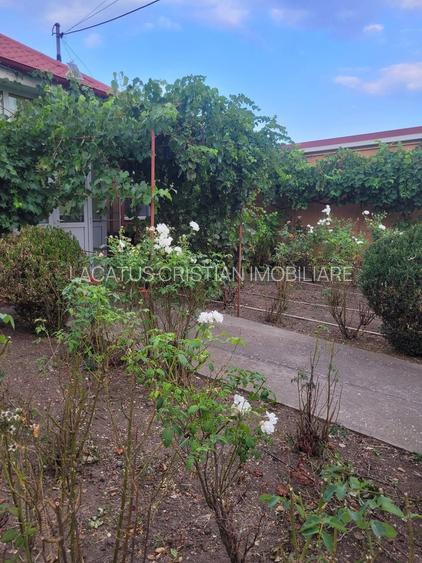 CASA SUPERBA 4 CAMERE ZONA VALU LUI TRAIAN 933MP - 3