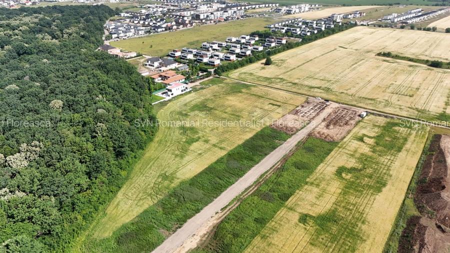 REL4000999 Teren l in proximitatea Amber Forest - 7