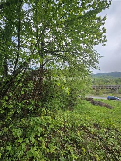 TEREN  PENTRU BUSSINESS 2842 MP DE VANZARE IN STATIUNEA  TARGU OCNA - 8