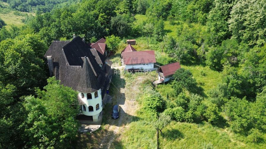 Castel de Vanzare IN MARAMURES - 3