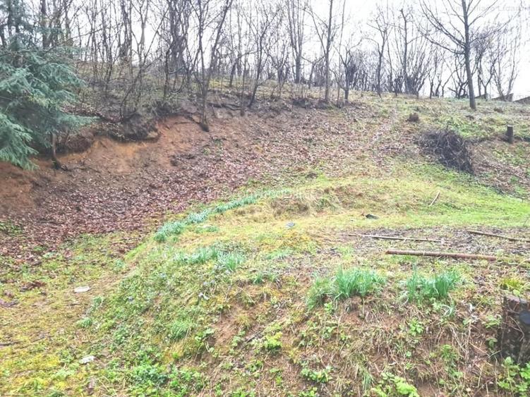 Teren intravilan1291 mp Schei Str Nisipului iesire la Drumul Poienii - 4