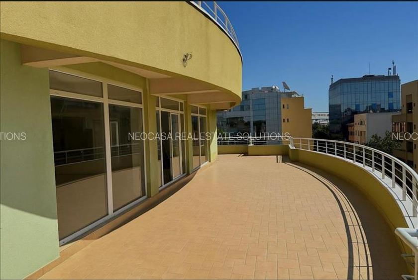 LUX SI APARTAMENT UNIC | 4 CAMERE | 402 MP | TERASA IMENSA | 2 PARCARI | HERASTR - 15