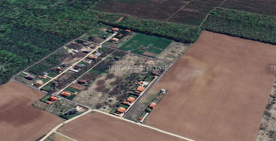 800 mp padurea Snagov Ciofliceni l utilitati la strada - 5