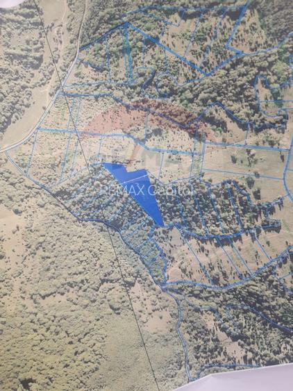 Teren Rasnov/ Soseaua Predealului DN73B - 2