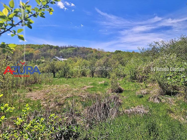 AZURA Imobiliare - Casa Merisani Varzaru DN - 16