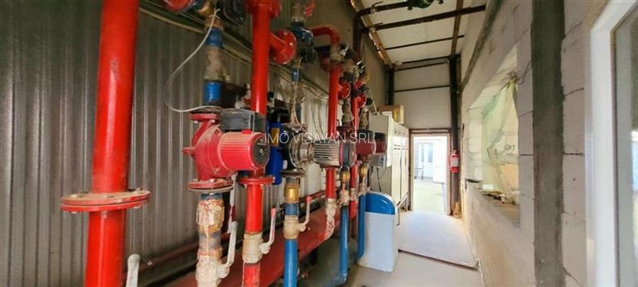 Oportunitate investiție prelucrare lemn, Cristian,jud.Sibiu - 20