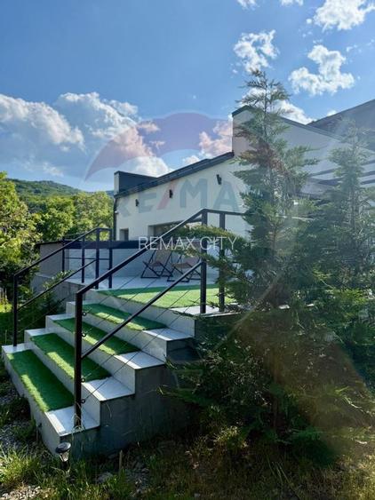 Vanzare Vila la munte - 49