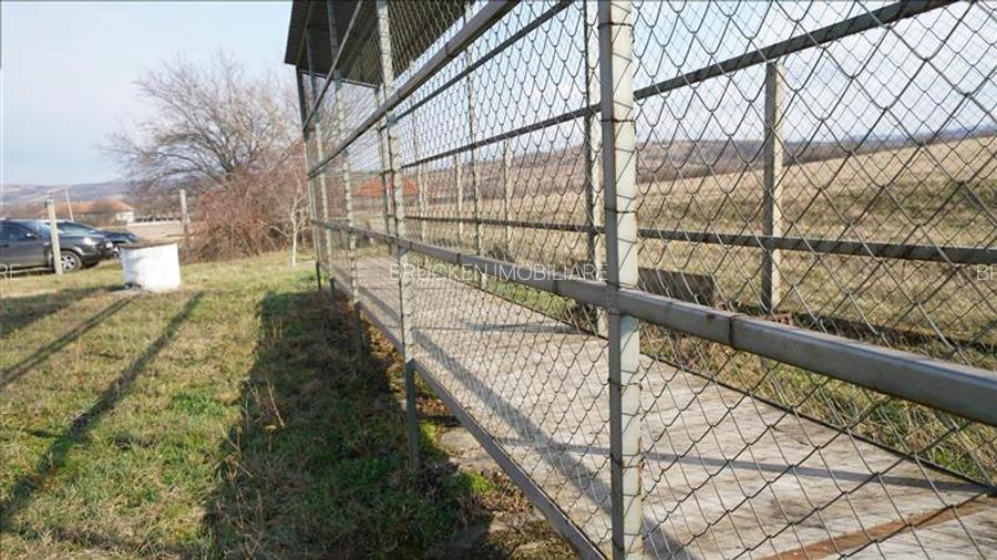 MICRO-FERMA + CASA IN VOIVOZI - BIHOR - 10