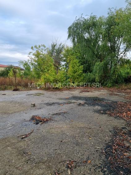 Oportunitate Imobiliară:teren intravilan cu Certificat  de Urbanism - 12