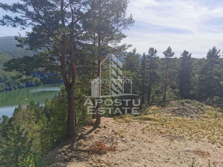 Teren intravilan, 2000mp, cu vedere panoramica spre lacul Valiug - 4