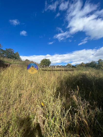 Teren investitie Turturesti-Girov - 4