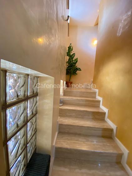 Vila Bucurestii Noi- Parc Bazilescu - 8