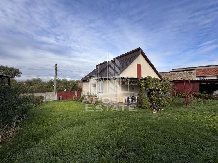 Casa individuala, 4 camere, 2600mp teren, Barcea Mare in Hunedoara - 5