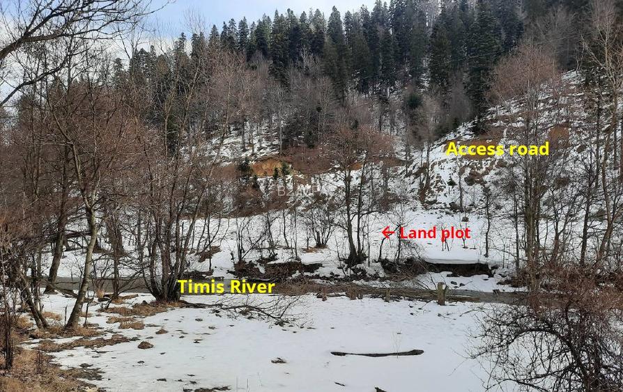 De vanzare teren intravilan 4.500 mp, Timisul de Jos, langa DN1 si PETROM - 3
