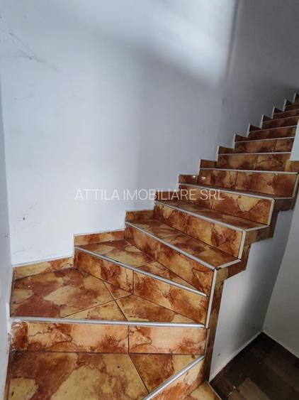 Vand cladire P+1 SAD+Apartament 160000 euro - 12