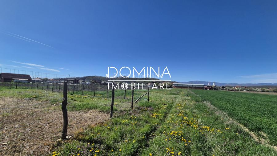 Vânzare loturi teren intravilan 520 mp - Sat Ceauru - la 10 km de Târgu Jiu - 6