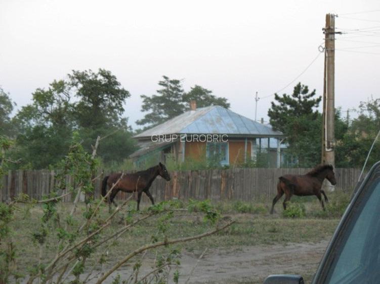 DELTA DUNARII, BIOSFERA, LETEA, Proprietate de VIS!  proprietar, - 10