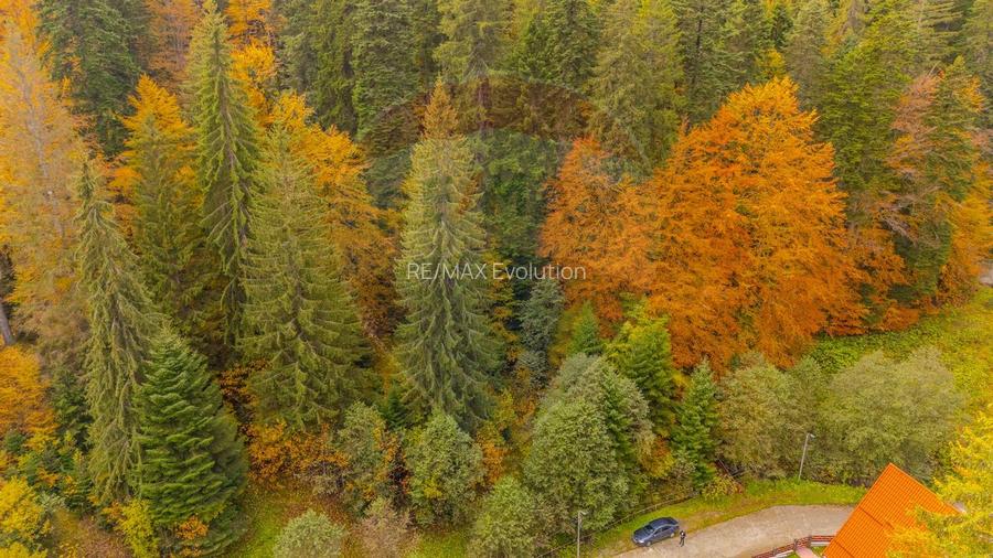 Comision 0 | Teren intravilan de vanzare - Predeal, Brasov 908 mp - 6