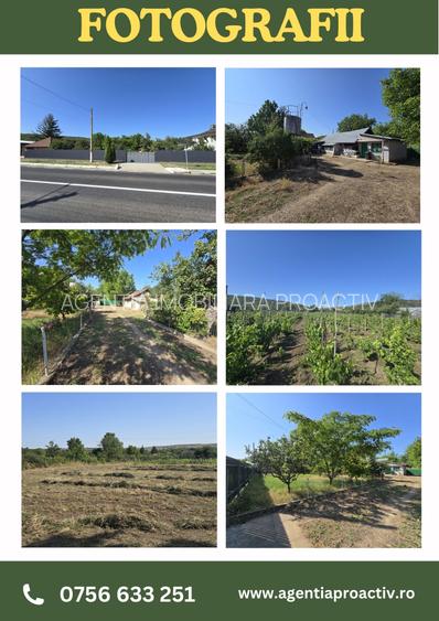 Casa ta de la țară te așteaptă, cu aer curat și povești nescrise - 2