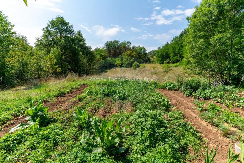 Casă / Vilă cu 3 camere de vânzare - 40