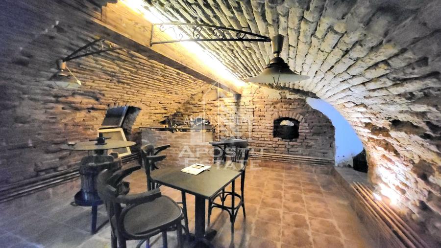 Casa individuala,independenta energetic, 5 camere,teren3783,Peciu Nou - 15